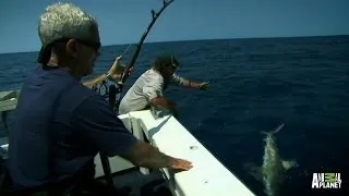 Fan Favorite: Serious Shark Fishing | River Monsters