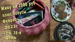 Живу на 2000 рублей!Февраль 2022г. 15-й, 16-й день! Размножаю чай! Спасаю готовое и скоропортящееся)