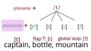 American phonemes and the concept of allophones