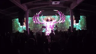 Carbon Based Lifeforms live at Psy-Nation CPH (1)