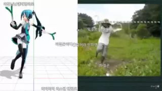 티비플 대파 마스터, 미친 듯한 싱크로