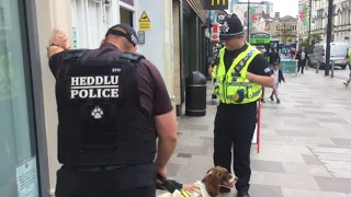 Tackling Spice in Cardiff City Centre