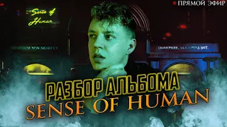 НЮБЕРГ разбор альбома Markul - Sense of Human | Прямой эфир