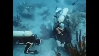 15. Одиссея Жак-Ив Кусто, «Калипсо ищет Атлантиду I» Jacques-Yves Cousteau