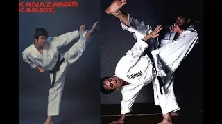 Shotokan Karate Kihon