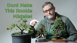 Bonsaify | The One Mistake All Bonsai Beginners Make: Here's How to Avoid It!