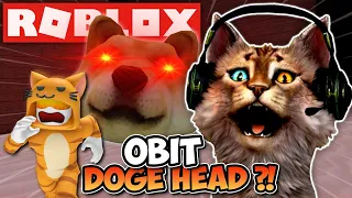 DIKEJAR OBIT DOGE HEAD DEMI MENYELAMATKAN 7 ANAK KUCING ?! - DOGE HEAD ESCAPE - ROBLOX INDONESIA