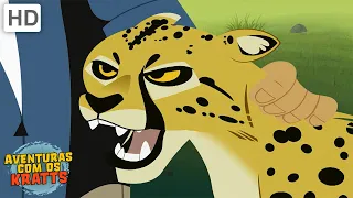 Aventuras com os Kratts | Guepardos| O animal terrestre mais rápido [episódios completos]