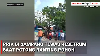 PRIA DI SAMPANG MADURA TEWAS KESETRUM SAAT POTONG RANTING POHON