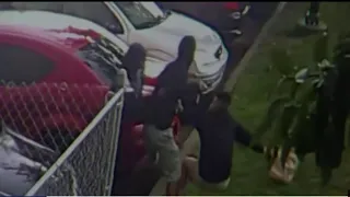 Video captures armed carjacking in Detroit's Lafayette Park neighborhood