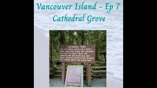 Vancouver Island - Ep 07 Cathedral Grove