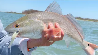 What You Need To Know When Wade Fishing For Redfish