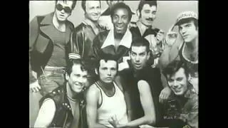 SHA NA NA "WHERE ARE THEY NOW?", TWO EPISODES. VH-1