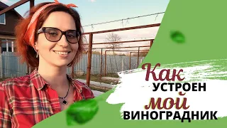 Как устроен мой виноградник