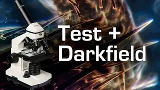 Microscope "Bresser Biolux NV" Test and Darkfield Modification