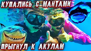 Подводный мир Мальдив. Купаемся с мантами! Прыгнул к акулам! Пора домой...