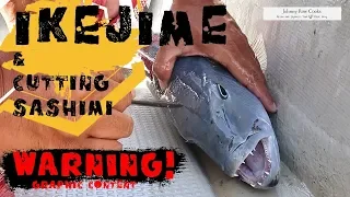 Ikejime - The Japanese way to kill a fish & Prepping Sashimi
