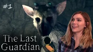 Trico Makes Me Slap Happy | The Last Guardian Pt. 1 | Marz Plays