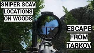 Sniper Scav Locations On Woods | Escape From Tarkov