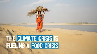 The climate crisis is fueling a food crisis. Here’s why.