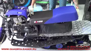 Квадролидер_Как разобрать снегоход Dingo T150