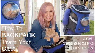 CAT BACKPACK: How to BACKPACK Train Your CAT!