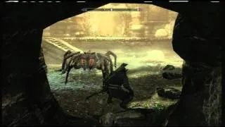 What Happens When I Encounter Giant Spiders In Skyrim