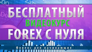 Уроки торговли на форекс | Видеокурс по форекс для начинающих