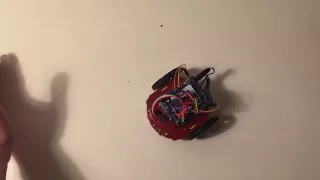 Мозг червя управляет роботом Arduino