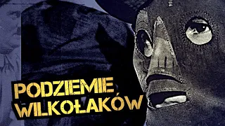 Podziemie wilkołaków, czyli co robił Werwolf na Opolszczyźnie. Łukasz Kazek