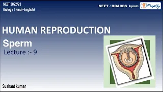 Human Reproduction | SPERM | L- 9 #SPERM,#NEET,#BIOLOGY,#prepkey,#PrepKEY