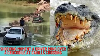 Shocking moment a driver runs over a crocodile at Cahills Crossing - Smiling Studio!