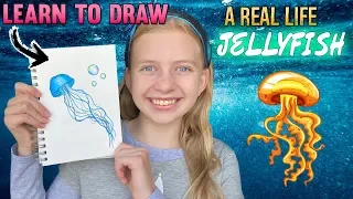 Draw a Cute, Realistic Jellyfish || Art with Alyssa