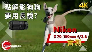 點解影狗狗要用長鏡？ ｜ Nikon Z 70-180mm f/2.8 實測