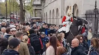 Lack of Respect from Some Tourists Nearly Causes an Incident Involving a Frightened Horse