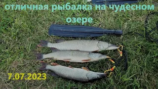 В этом озере много щук! Рыбалка на спиннинг в новом месте. There are a lot of pikes in this lake!