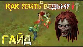 КАК УБИТЬ ВЕДЬМУ ГАЙД! ЗАРАЖЁННЫЙ ЛЕС! - Last Day on Earth: Survival