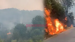 Dy vatra të reja zjarri në Vlorë, në fshatin Risili janë djegur sipërfaqe të mëdha me peme