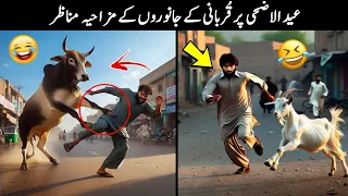 20 Funny Moments Of Qurbani Animals