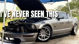 The Mustang Gets Unique New Mods!