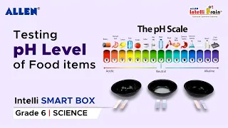 ALLEN Intelli SMART Box| Test pH level in food items| Measure pH| Science Activity Kit for Grade 6