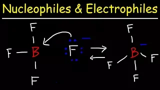 Nucleophiles and Electrophiles