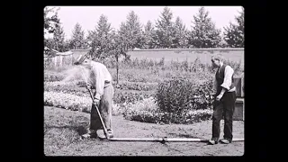 Политый поливальщик (1895) - Первый кинофильм