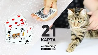 21 карта / Самый простой фокус + Анбоксинг с кошкой