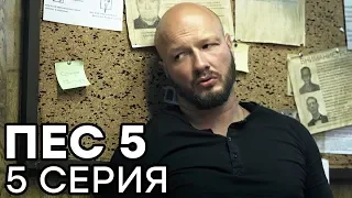 Сериал ПЕС - 5 сезон - 5 серия - ВСЕ СЕРИИ смотреть онлайн | СЕРИАЛЫ ICTV