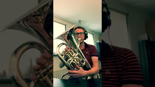 You Raise Me Up by Robbert Vos on Euphonium