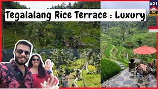 Tegalalang Rice Terrace: Bali's Green Paradise Complete Details | Malayalam Vlog | 🇮🇩 EP#21