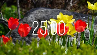 25 Minute Timer with Music | Spring Timer🌹