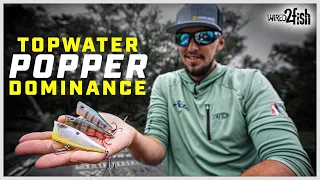 Why Poppers are My Go-to Topwater Bass Lure