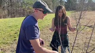 HOW TO PRUNE FRUIT TREES: PART 1 - PLUM TREES We are pruning fruit trees today.